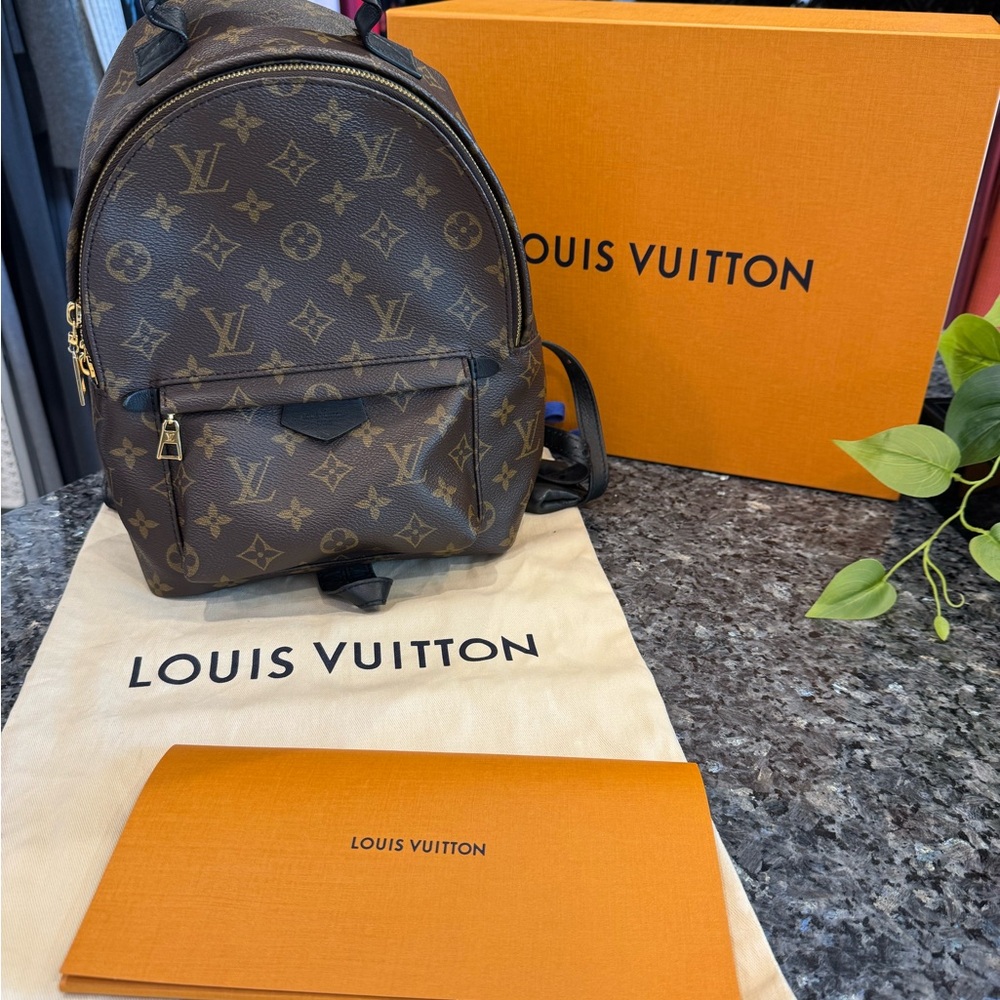 Louis Vuitton Palm Springs Monogram (Updated Zipper) PM